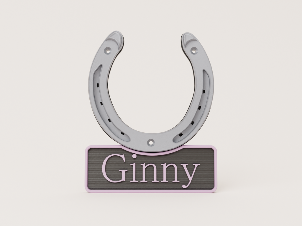 Tri-colour horseshoe stable door name plate - Ginny example with silver horseshoe