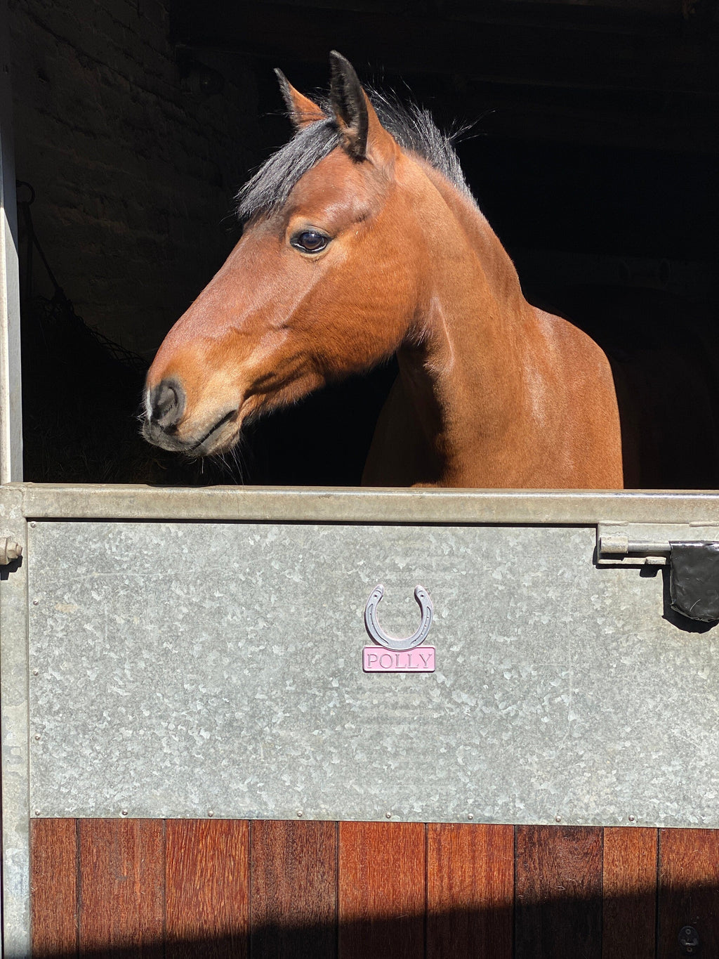 Bay pony looking over a stable door fitted with a pink personalised horseshoe name plate