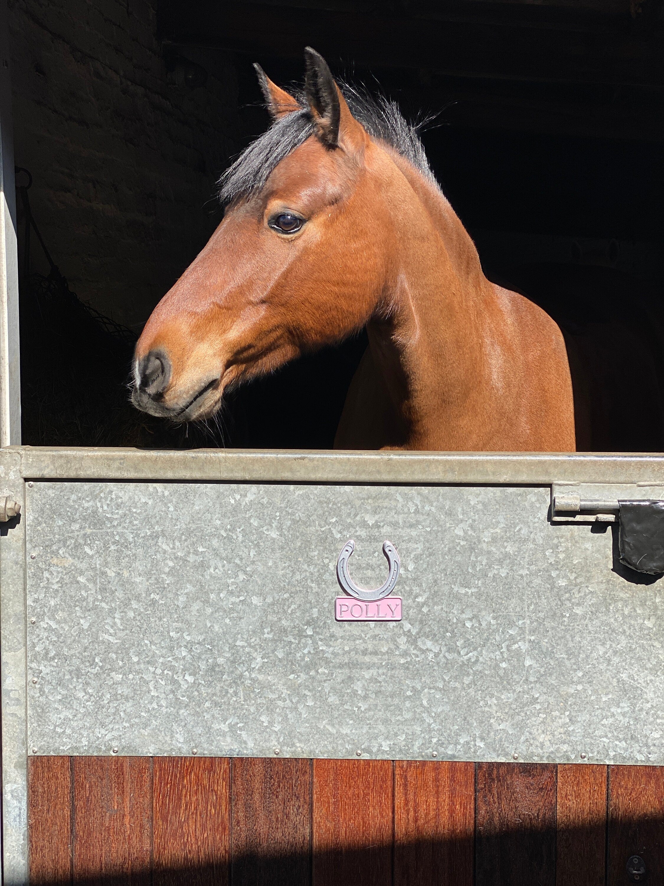 Bay pony looking over a stable door fitted with a pink personalised horseshoe name plate