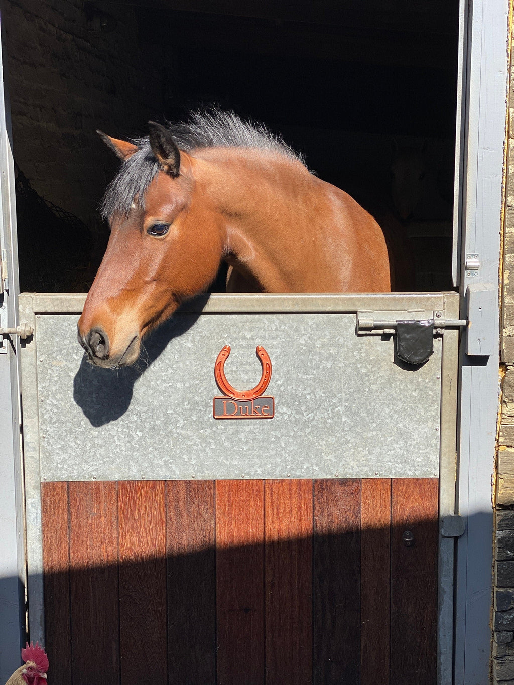Orange horseshoe name plate fitted to a galvanised stable door with a bay pony looking over