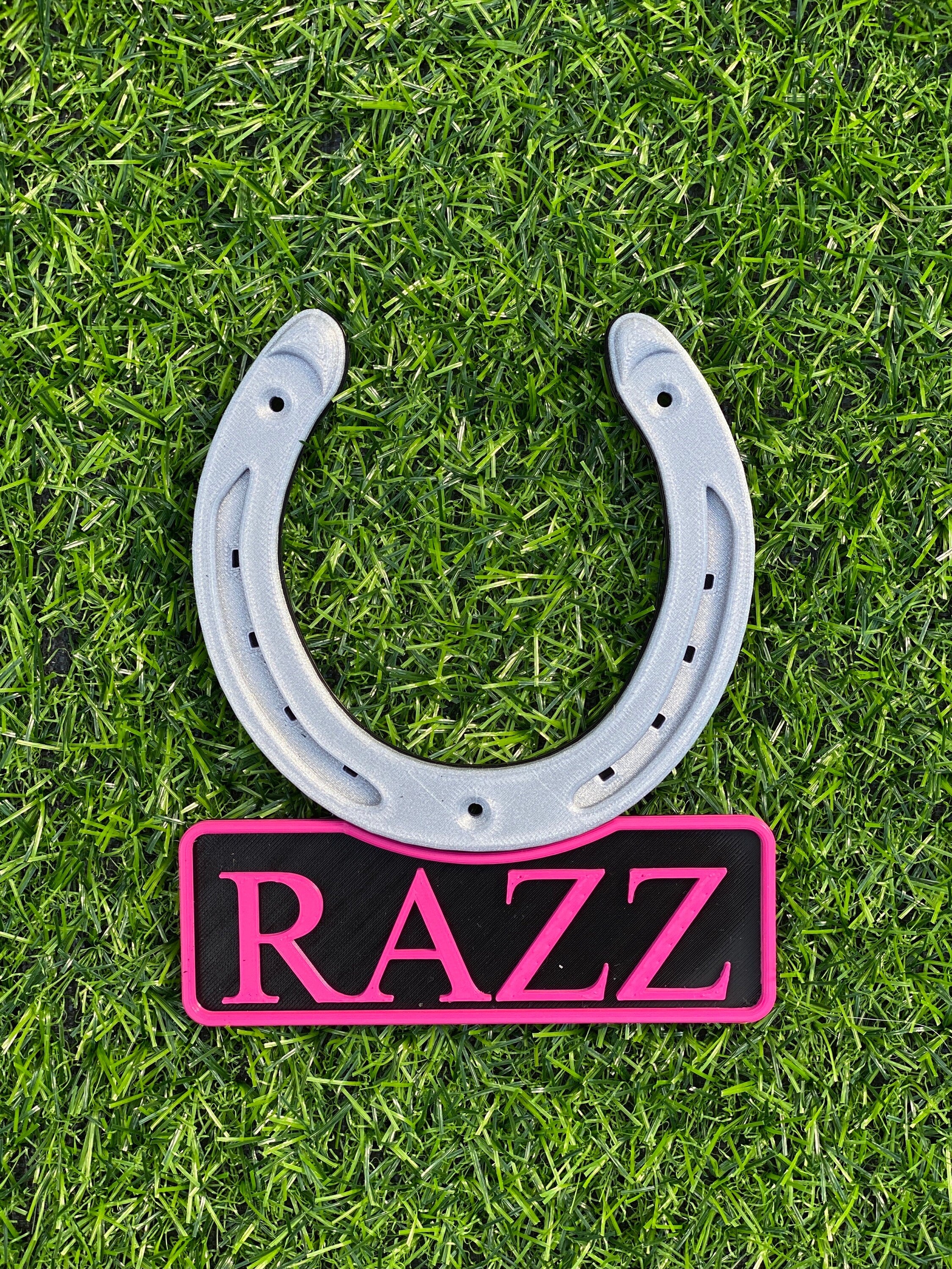Tri colour horseshoe name plate with pink lettering, name Razz