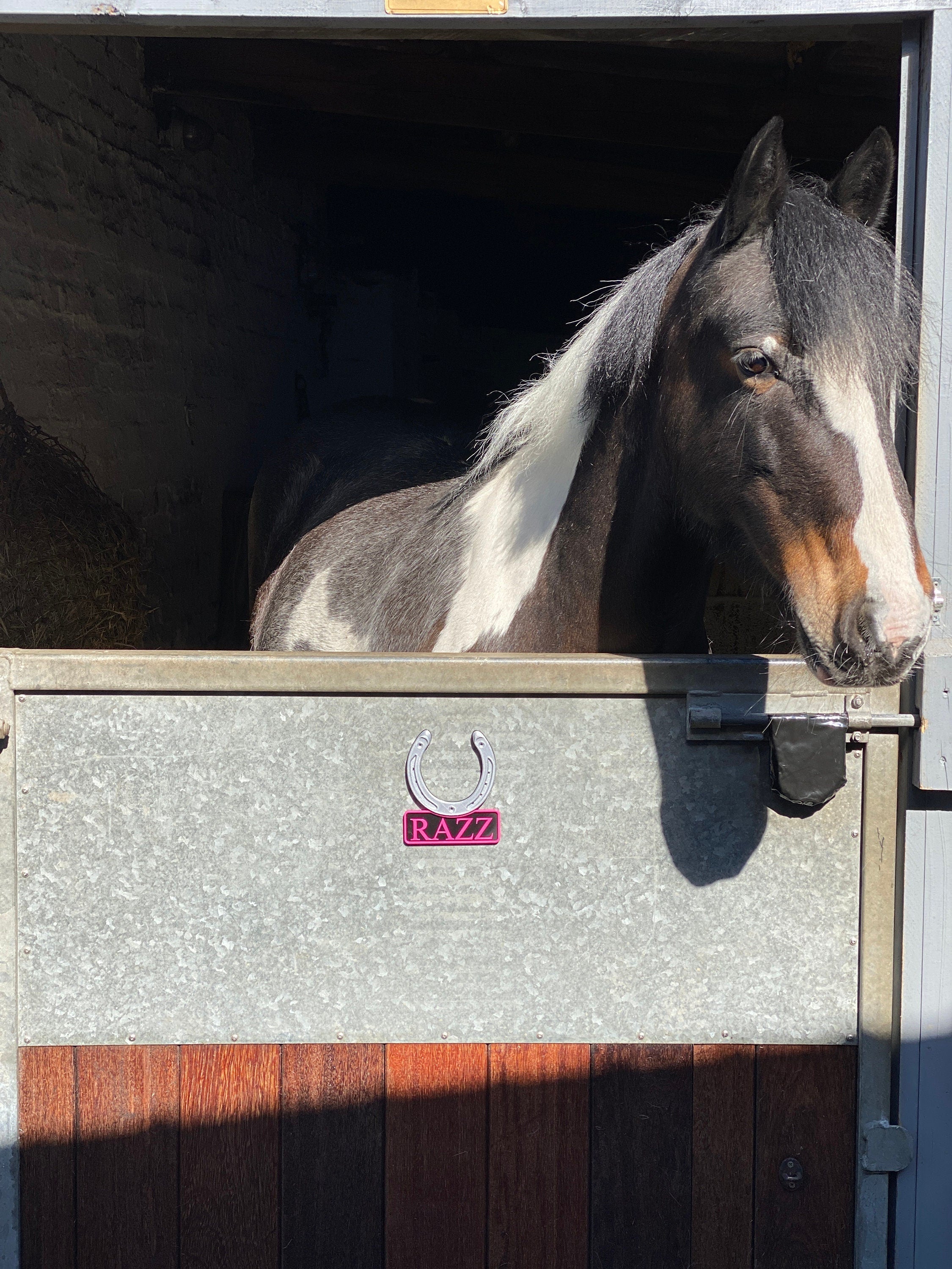 Pink personalised horseshoe name plate on a galvanised stable door, piebald pony behind