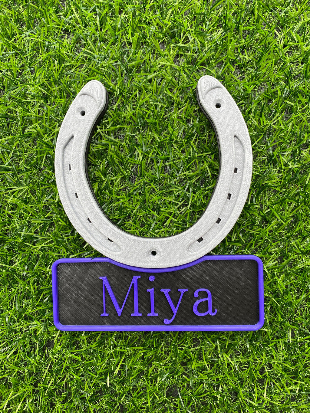 Tri colour horseshoe name plate with violet lettering, name Miya