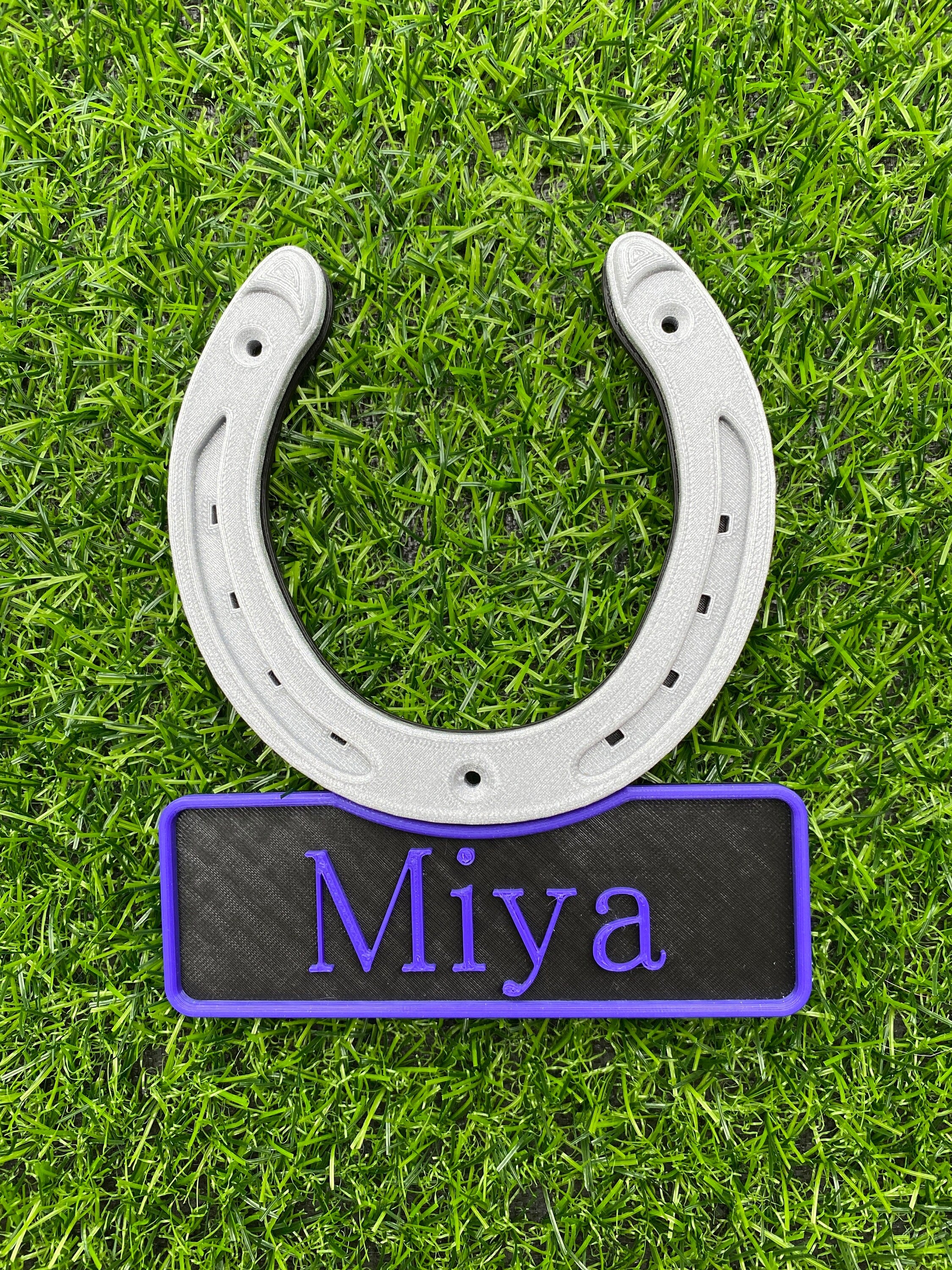 Tri colour horseshoe name plate with violet lettering, name Miya
