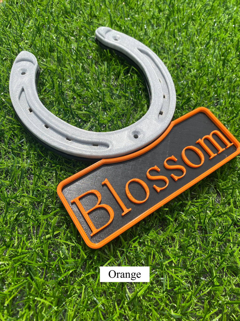 Tri colour horseshoe name plate with orange lettering, name Blossom