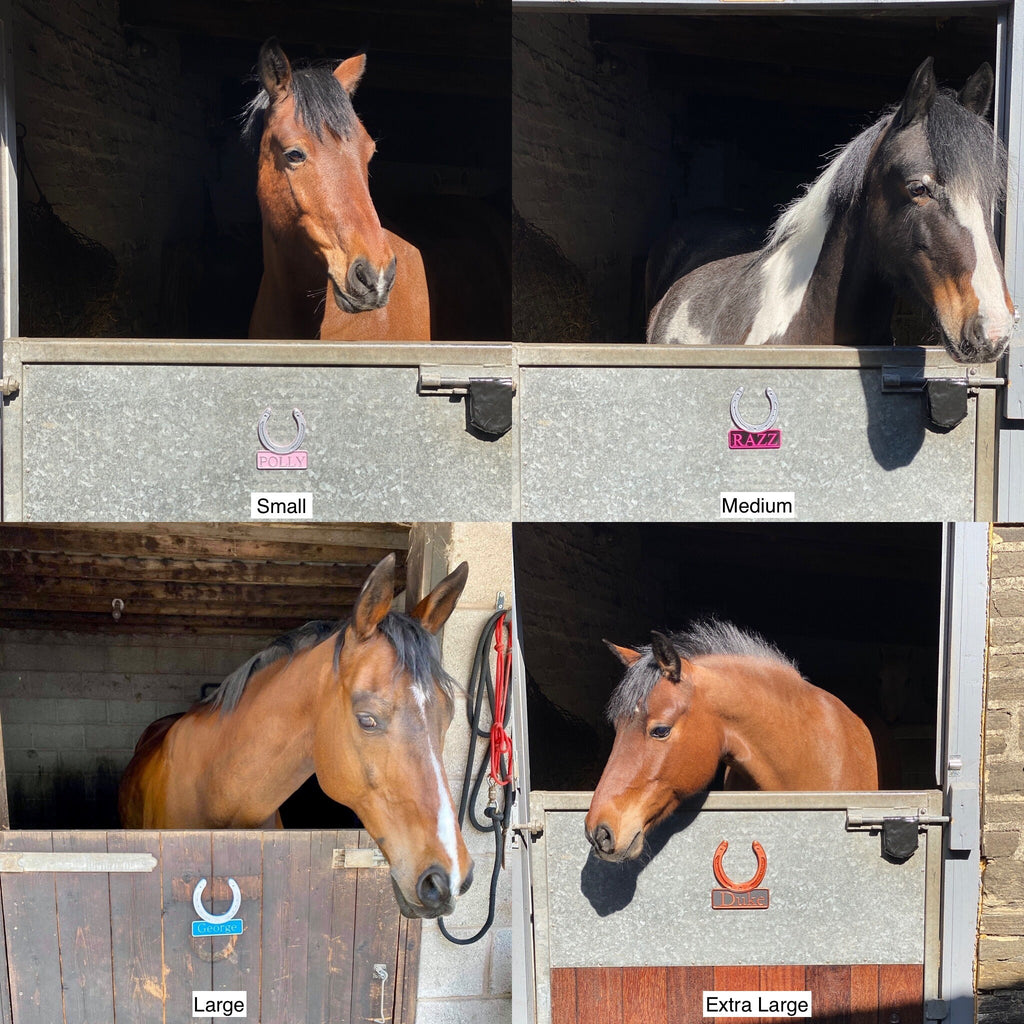Four sizes of the tri colour name plate on stable doors with ponies