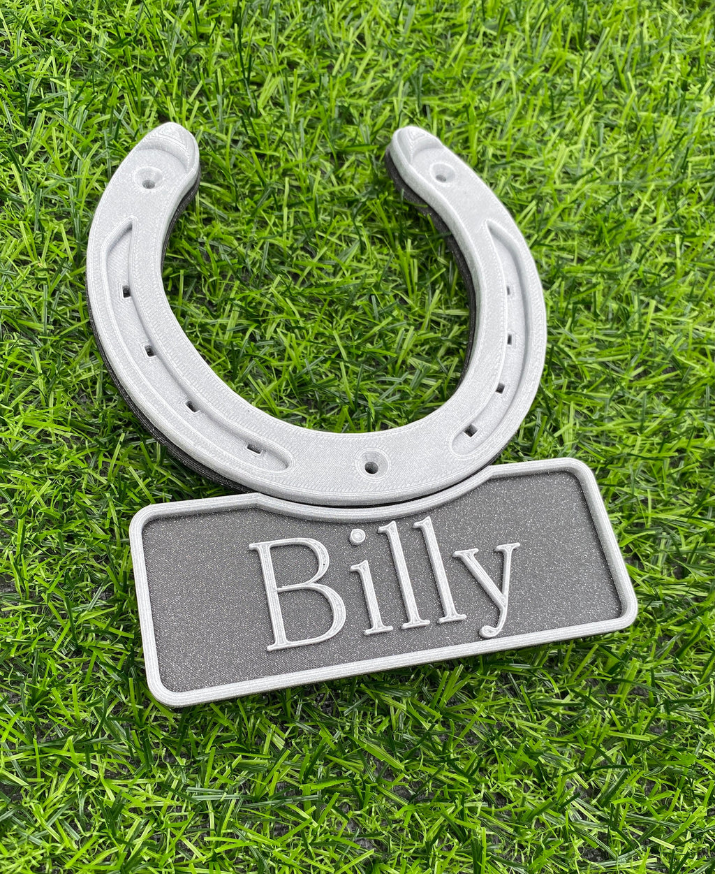 Silver personalised horseshoe stable door name plate, name Billy