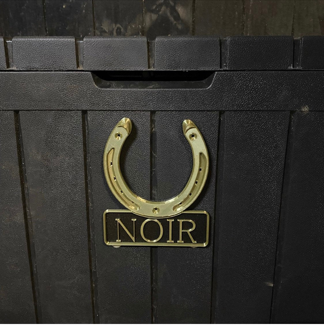Gold horseshoe name plate with the name Noir on a dark stable door