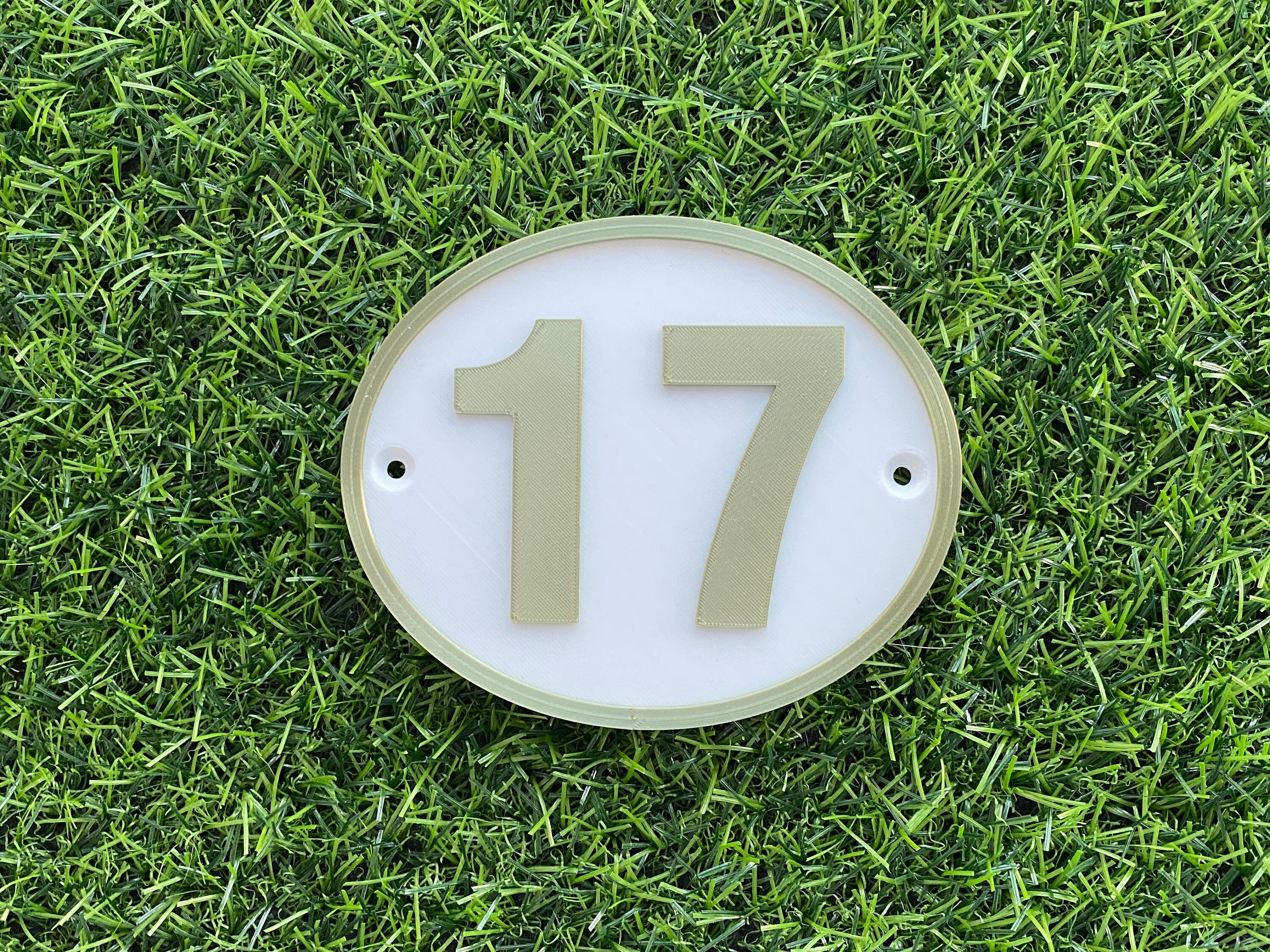 White and gold oval house door number 17
