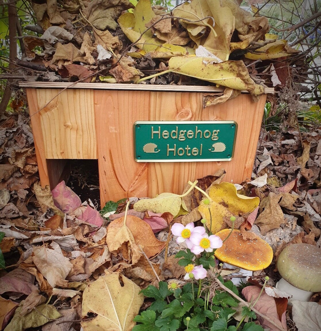 Hedgehog Hotel sign fitted to a wooden hedgehog house in the garden