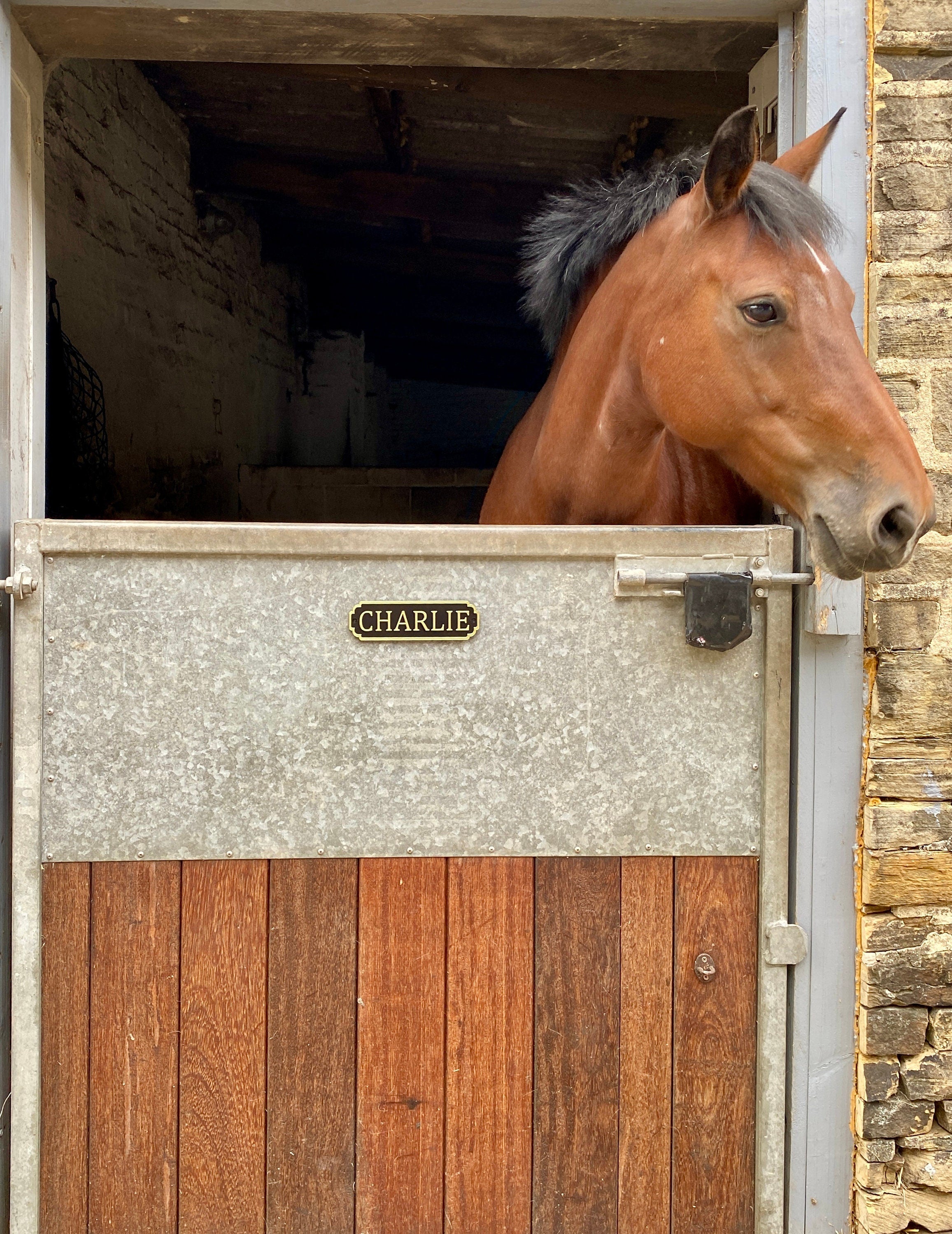 equestrian door sign