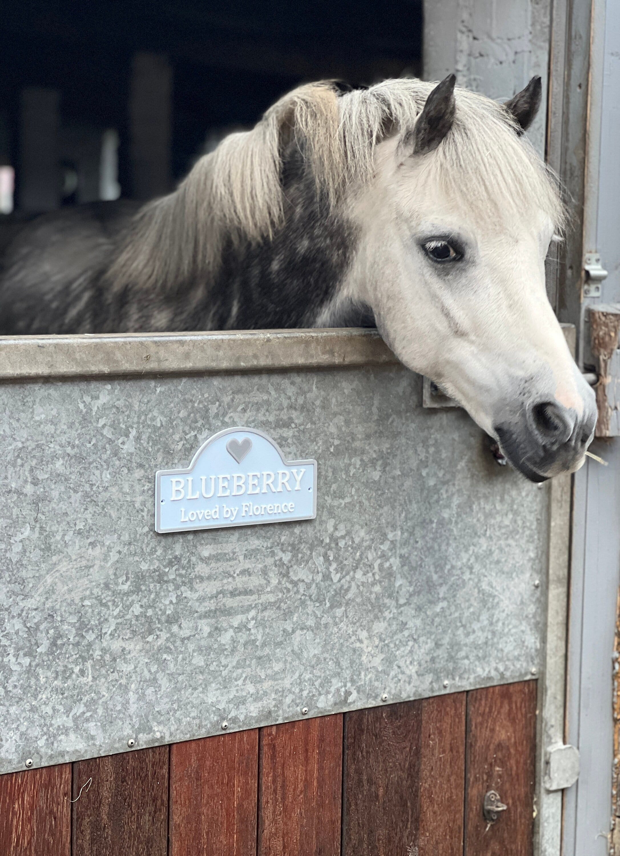 Pastel Blue Stable Door Sign with a silver heart. Text reads Blueberry Loved by Florence.