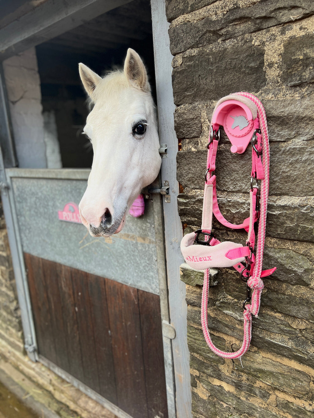 Pink personalised bridle holder on a stone stable wall holding a pink bridle, white pony behind