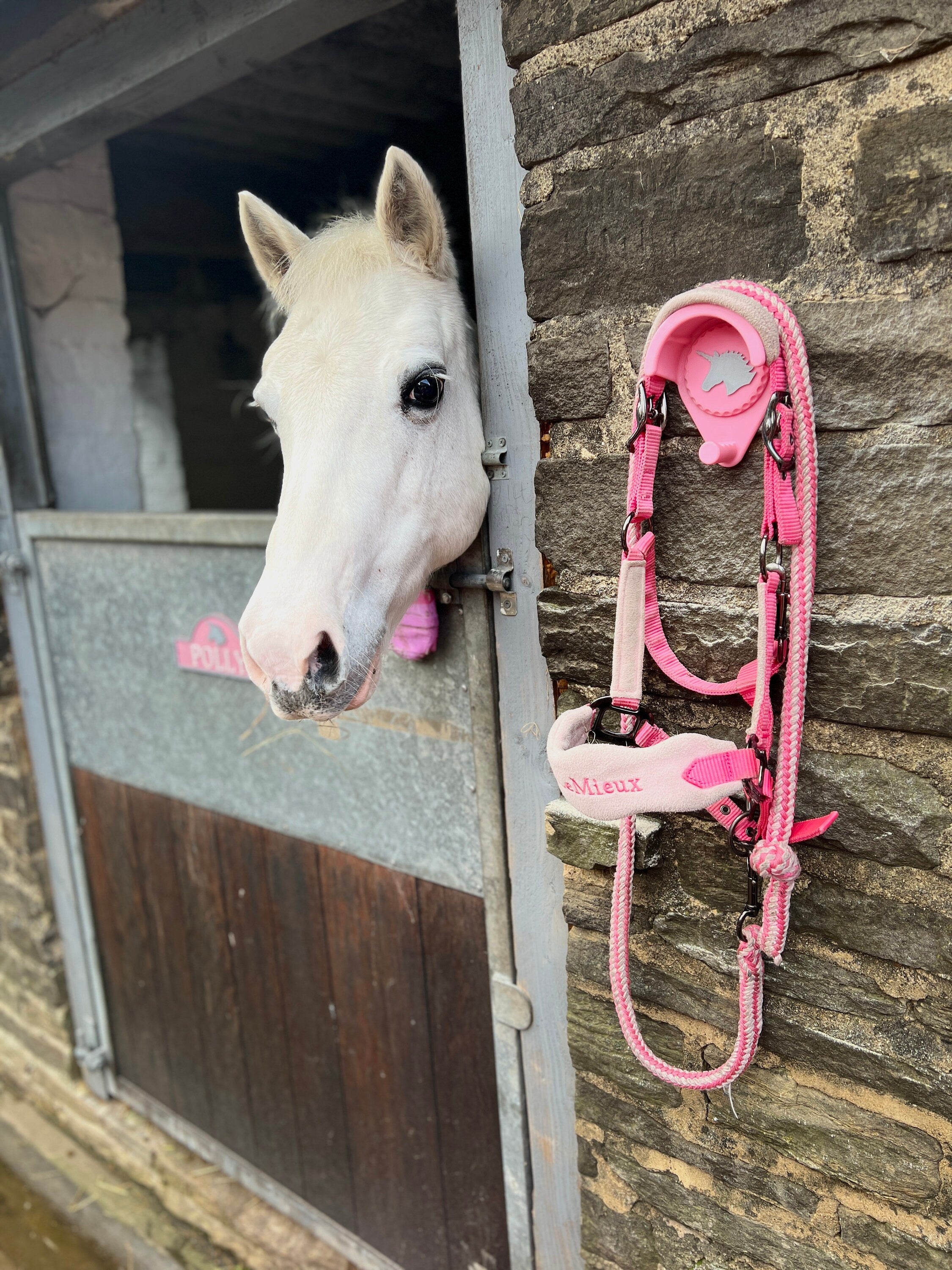 Pink personalised bridle holder on a stone stable wall holding a pink bridle, white pony behind