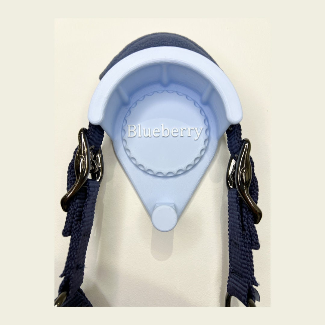 Personalised bridle holder with hook and horseshoe motif disc