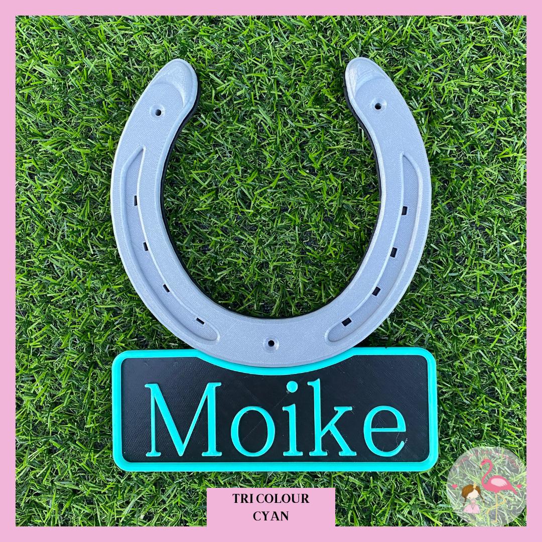 Stable door name plate tri colour with silver horseshoe